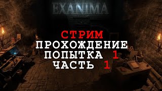 Exanima  СТРИМ  Прохождение подземелья часть 1 [upl. by Gambrell593]