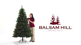 Easy Plug™ Artificial Christmas Trees [upl. by Hajile]