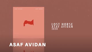 Asaf Avidan  Lost Horse Official Audio [upl. by Born]