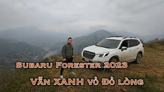 Subaru Forester 2023 vẫn là Xanh vỏ Đỏ lòng [upl. by Hniv348]