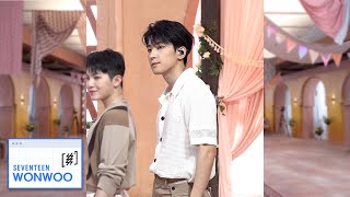 SSSS CAM SEVENTEEN세븐틴  Darling WONWOO Ver Comeback Show Face the Sun [upl. by Voleta]