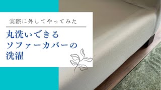 【ソファーカバー洗濯】“丸洗い出来ますよ”を実際やるのは大変だった [upl. by Ayalahs]