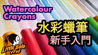 WATERCOLOUR CRAYONS 水彩蠟筆15色  How to Draw with Crayon art painting 畫畫 Little Solo Art [upl. by Fabian]