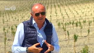 Olivar y almendro intensivo alternativas a los cultivos herbáceos de secano [upl. by Yanttirb]