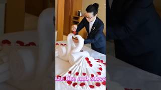 Towel folding arttowel folding housekeeping towel artdriverlifestyle [upl. by Savil]