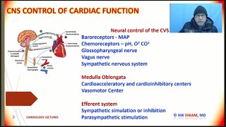 High Blood Pressure  BARORECEPTORS AND CHEMORECEPTORS ON BP Dr NIK NIKAM MD [upl. by Nailij647]