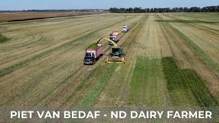 Harvesting Barley Silage 52 [upl. by Asilem]