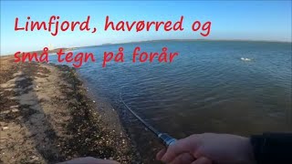 Små tegn på forår ved Limfjorden to dage i februar 2024 [upl. by Hendrik732]