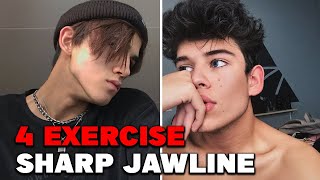 4 Simple Exercises to Get a Sharp Jawline Quickly [upl. by Alaekim]