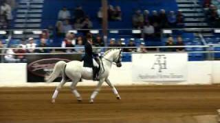 Dressage 3Scottsdale Arabian Horse Show2011 [upl. by Alyakcm373]