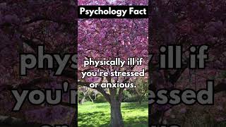 The MindBody Connection Understanding the Impact of Stress and Anxiety on Physical Health facts [upl. by Annhej]