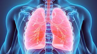 Interstitial Lung Diseases and Hypersensitivity pneumonitis [upl. by Aicatsal]