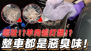 【噁心極致】滿車都是嘔吐物 滿滿惡臭味 嘔吐車拆洗流程分享 吃飯不要看 [upl. by Joanna]