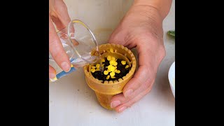 Indoor plant care hacks for plant lovers 🌿 shorts planting garden diy indoor [upl. by Boelter594]