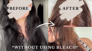 Removing Permanent Black Box Dye WITHOUT BLEACH at Home DIY Colour Remover REVIEW [upl. by Wina]