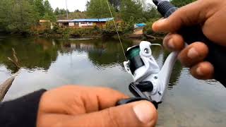 TROUT FISHING THE TOCCOA RIVER BLUE RIDGE GA trout troutfishing troutfish blueridgemountains [upl. by Willumsen]