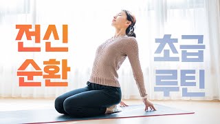 하루 두 번🧘🏻‍♀️꼭 해야하는 25분 전신순환 스트레칭 Ep12  초급  피로회복 림프순환 심신안정 독소제거 Whole body stretch [upl. by Eveivenej]