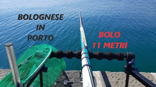 Tra Minutaglia e Pesci Persi la Pazienza Viene Ripagata  Pesca in Porto con Bolognese da 11 Metri [upl. by Ylrevaw]