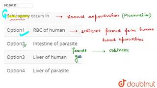 Schizogony occurs in [upl. by Guria]