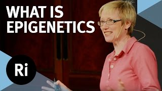 What is Epigenetics  with Nessa Carey [upl. by Ethelda]