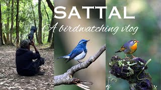 You must visit this bird watching heaven  Bird photography in Sattal [upl. by Frederico154]