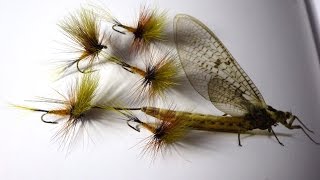 Tying a Ginger Mayfly Dry Fly with Davie McPhail [upl. by Summers82]