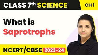 What is Saprotrophs  Nutrition in Plants  Class 7 Science Chapter 1 202223 [upl. by Biggs]