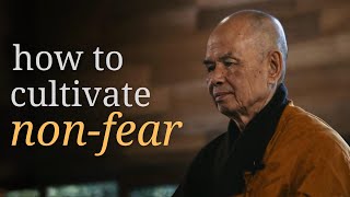 Love is Protection  Teaching by Thich Nhat Hanh [upl. by Noemis]