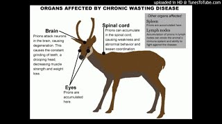 Chronic wasting disease CWD [upl. by Myrtice]