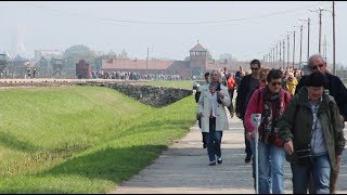 walking through auschwitz [upl. by Aneala]