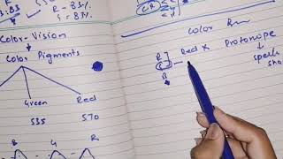 Color vision Color blindness guyton 51 part 6 neural function of retina specialsensoryphysiology [upl. by Sheffield843]