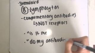 F212  The Immune Response EASY [upl. by Maryjo36]