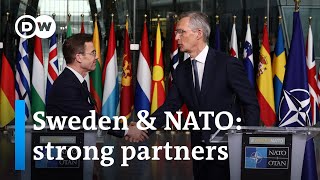 Why Sweden is good for NATO  and vice versa  DW News [upl. by Laforge]