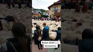 Szczawnica Redyk 2024 [upl. by Rengaw446]