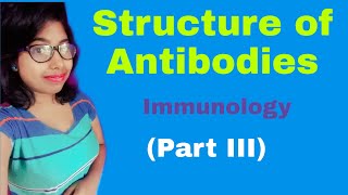 Structure of antibodies or immunoglobulins [upl. by Auqenwahs197]