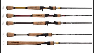 Temple Fork Outfitters TFO Professional Rods Review [upl. by Oberheim]