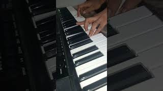 Haare Haare Song On Piano shortvideo [upl. by Saxe]