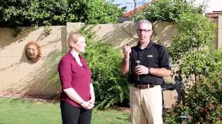 How To Water Your Landscape Efficiently  Part 4 of 10 [upl. by Barde14]