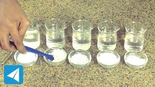 Compare solubility of salt sugar and chalk  Solutions  Chemistry [upl. by Yelserp]