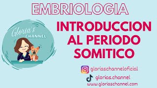 Embriologia humana Periodo somitico Introduccion [upl. by Onfroi]