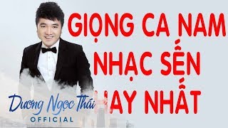 Dương Ngọc Thái  Tuyển Tập Những Ca Khúc Bolero Hay Nhất Của Dương Ngọc Thái [upl. by Pare]