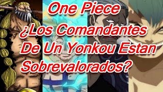 One Piece ¿Los Comandantes De Un Yonkou Estan Sobrevalorados [upl. by Stewart]