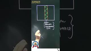 semipermeable membrane  Arun Dixit Sir trending reels youtubeshorts facts study neet jee [upl. by Aniluap116]