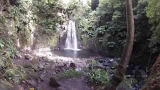 Trilho Pedestre do Sanguinho  Amazing Azores  Hiking trails  Nature  Trilhos  São Miguel [upl. by Dyolf]