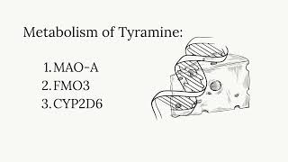 Tyramine Intolerance [upl. by Alahs176]