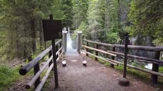 Ponte Tibetano sulla Forra del Travignolo  Posti da visitare in Montagna dEstate [upl. by Moynahan]