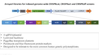 Understanding prion neurodegeneration using arrayed genomewide perturbation [upl. by Close]