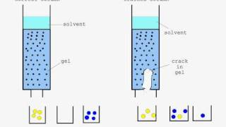 Column Chromatography animation [upl. by Lanahtan721]