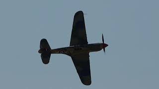 Curtiss Kittyhawk P40E VHKTY Display Flown by Paul Bennet at the Mildura Airshow 2024 [upl. by Nosned129]