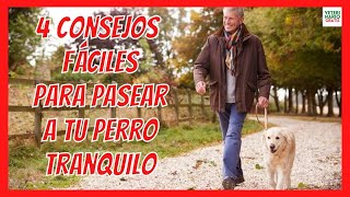 ✅ 4 CONSEJOS FÁCILES PARA PASEAR A TU PERRO TRANQUILO ✅ CÓMO PASEAR A UN PERRO CORRECTAMENTE [upl. by Marfe]